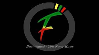 Busy Signal - You Never Knew (Lyrics)