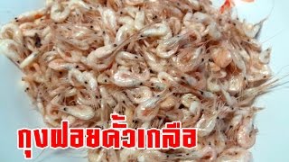 กุ้งฝอยคั้วเกลือ/เมณูกับแกล้ม/ครัวบ้านทุ่งกับลุงเด่น