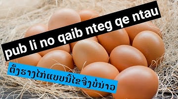 Pub yam no poj qai nteg qe ntau