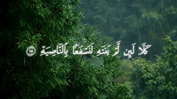 تلاوة القرآن الكريم تلاوة من سورة العلق #قرآن #اكسبلور #quran #لايك #deen 