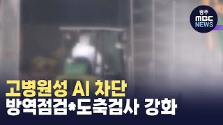 고병원성 AI 차단..방역점검*도축검사 강화