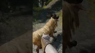 Goat Catching In VR 😂 Modded Skyrim VR #shorts
