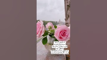 الذي خلقني فهو يهدين - تلاوة مؤثرة مبكية خاشعة - القارئ ماهر المعيقلي - تلاوة بديعة من الحرم المكي