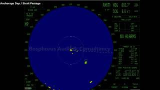 Remote Navigation Assessment  - VDR Data Analysis