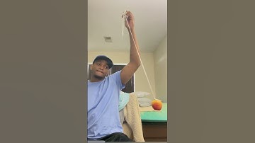 Lab 9 Simple Harmonic Motion