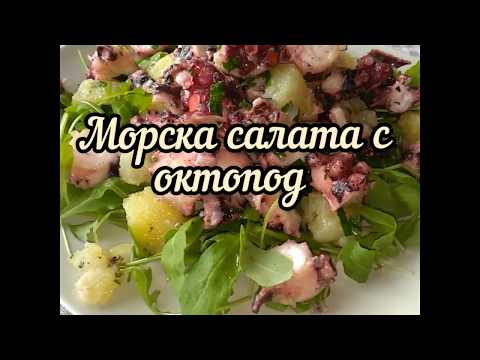 Видео: Октопод и калмари: разлика, снимка