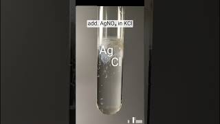 Silver Nitrate + Potassium Chloride= Agcl White Precipitate Double Displacement Cwb