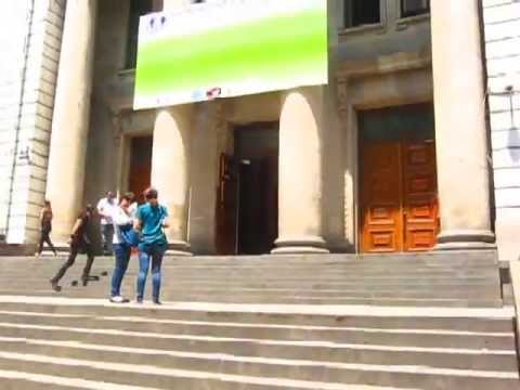 თსუ-ს ლექტორები \"GSNI\"- ს დასახმარებლად