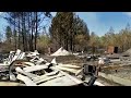 Уничтожены десятки домов: как обстоит ситуация с лесными пожарами в Тюменской области