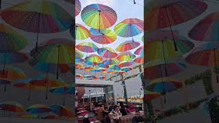 Cantina Rooftop Mexican food Bar NYC
