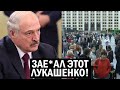 Срочно - Беларусь охватили митинги - Лукашенко срывается, всех в кутузку - новости