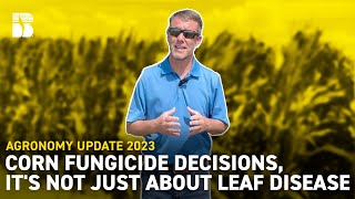 Corn Fungicide Decisions, It's Not Just About Leaf Disease | Beck's Agronomy Update
