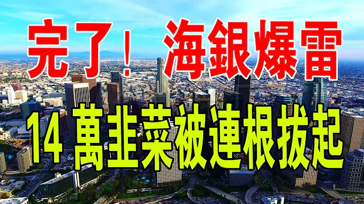 大爆雷！海银违约，股价暴跌60%，规模堪比中植系！14万韭菜被连根拔起，太惨了！#爆雷 #股价 #中国房地产 #财经 #暴跌 #海银财富 - 天天要闻