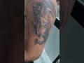 tatuagem cavalo #cavalo #tatuagemcavalo #roça #tatuagem #inktattoo #sombreados