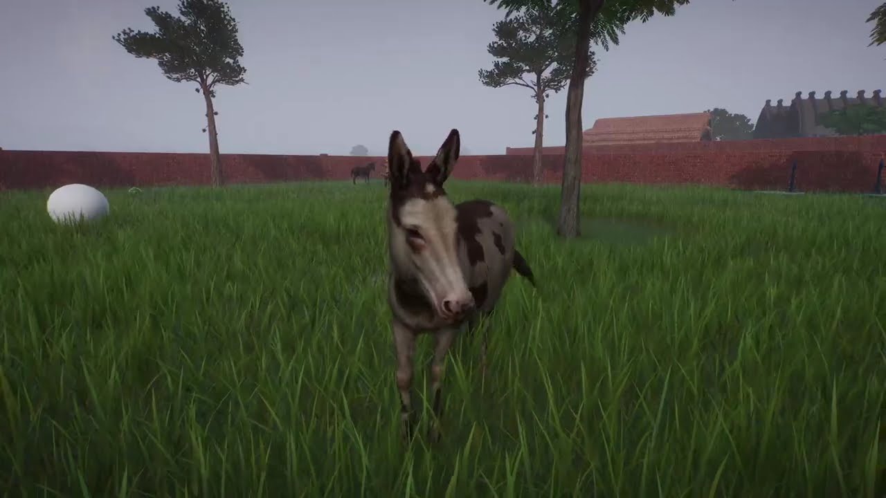 Planet Zoo |  Making A American Standard Donkey Enclosure