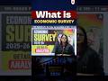 What is Economic Survey?? 🤔 #economy #economics #economicsurvey #shortsfeed
