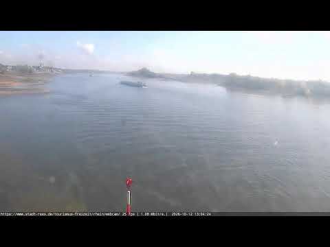 Rhine River — Rees