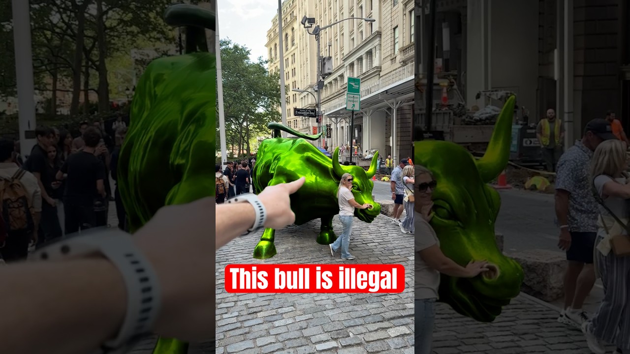 The Unauthorized Bull That Wall Street Could Not Get Rid Of