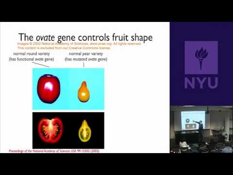 Natural Science II Genomes And Diversity Agricultural Traits Rice Tomatoes Corn