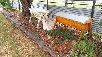 Top bar beehive update 27th February 2014