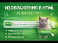 Изображения в HTML — тег img и его атрибуты
