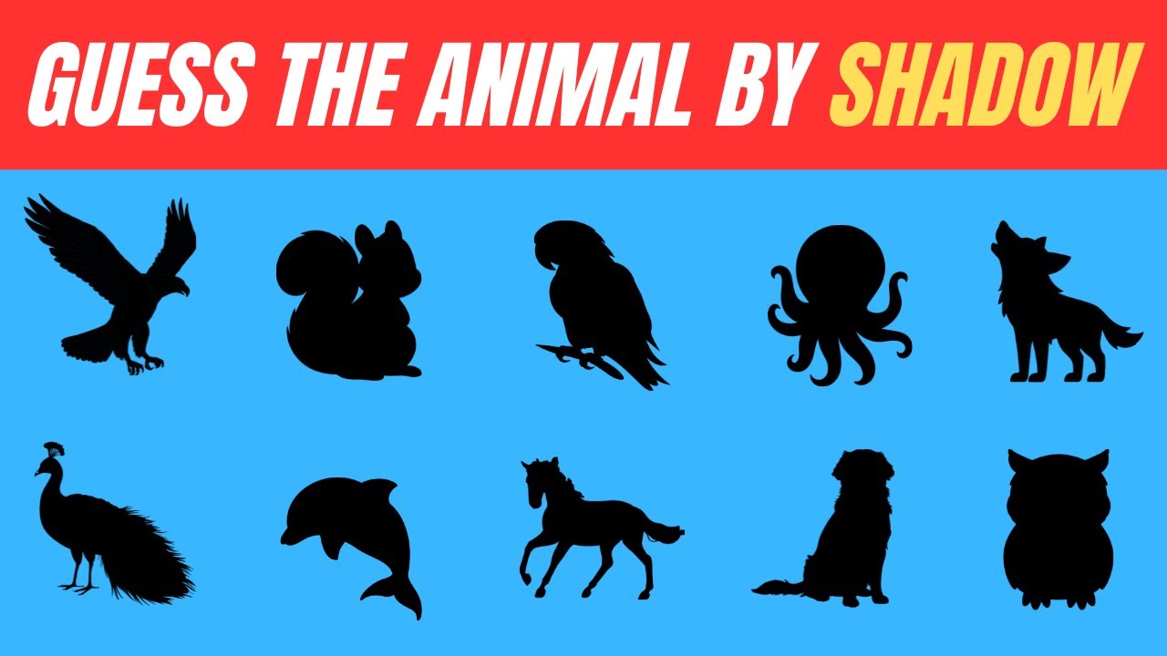 Guess The Animal by Shadow in 5 seconds | Guess The Animal Quiz | 50 ...