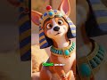 Mi perro, un faraón 👑🤯