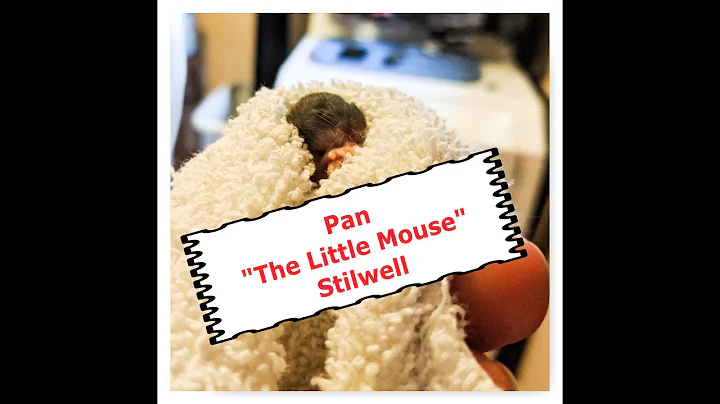 Pan The Little Mouse Stilwell