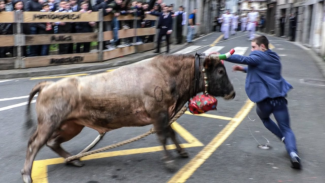 AZPEITIKO SOKAMUTURRA - ELEGANTE EGUNA 2025