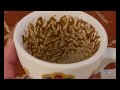 Cancer The Comeback You Didn’t See Coming Coffee Cup