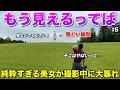 勢いが凄過ぎてパンチラ寸前…ローアングルで撮られる前に上に行かないで！！！