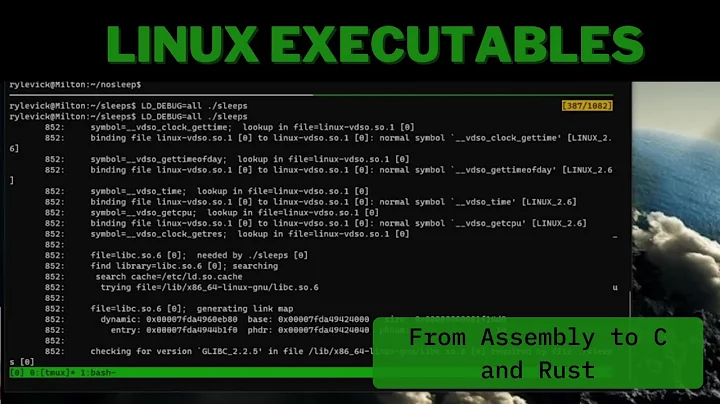 Linux Executables: From Assembly to C and Rust