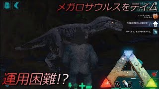 Arkモバイル実況 73 運用困難 メガロサウルスをテイム Youtube
