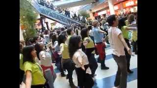 flash mob dance norteshopping 9th jan 2010.avi