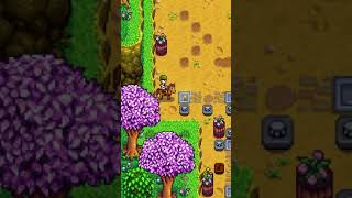 Stadium Rave A Stardew Valley Cover