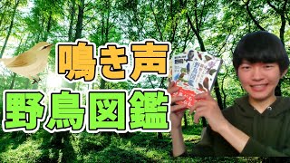【バードウォッチング入門】鳥の鳴き声が聞ける野鳥図鑑をご紹介！