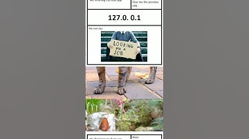 Coding Meme #coding #webdesign #developer #memes