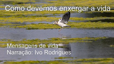 Como enxergar a vida melhor?