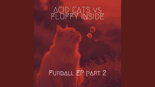 Dark Corner (Acid Cats Remix)