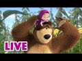 🔴 LIVE STREAM 🎬 Masha and the Bear ⚔️💪 Adventurers, assemble!  ⚔️💪
