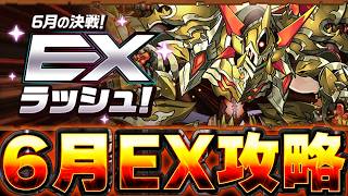 6月EXラッシュをサクッと攻略しよう！【パズドラ配信】＃パズドラ