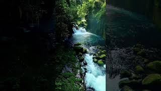 Forest River & Birds Chirping | 100% No Sudden Sounds | Fall Asleep Fast