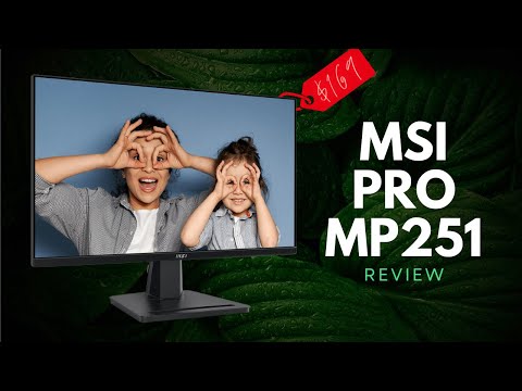 MSI PRO MP251 Review - Well Rounded $169 Productivity Monitor!