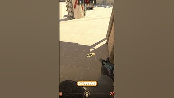 Dodge The Molly Under Palace Like A PRO!