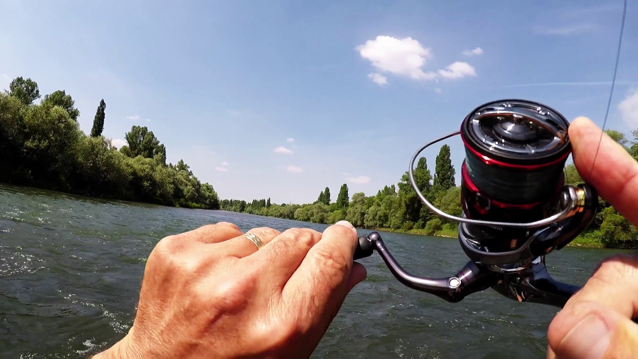 Guidage dans le Vieux-Rhin...