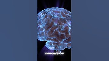 This AI Can Read Your Dreams