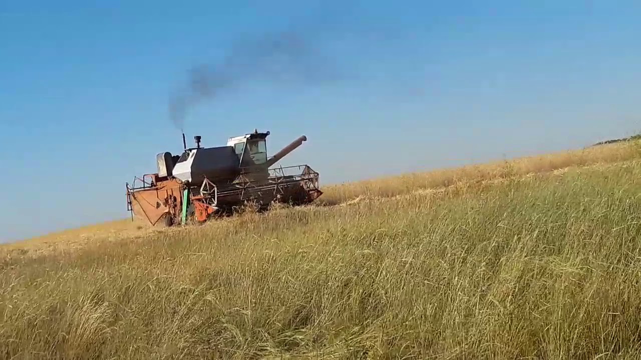 Нива уборка видео