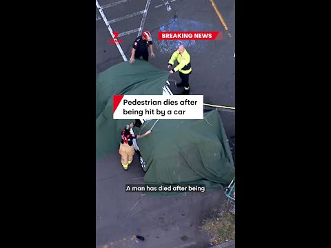 Global News Pedestrian Hit By Car