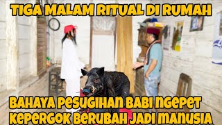 DANG RAJO RITUAL BABI NGEPET DUKUN PAKSA TUMBALKAN KELUARGA BIADAP KAU SUDIR | dang rajo terbaru