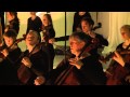 Capture de la vidéo Richard Strauss: Metamorphosen For 23 Strings